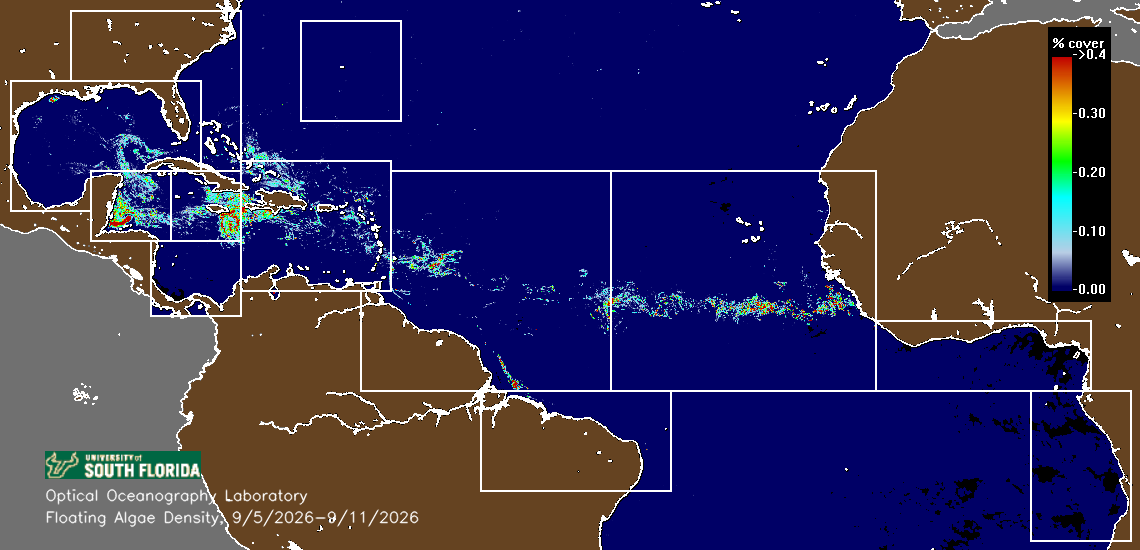 Great Atlantic Sargassum Belt density composite — 1 week ago