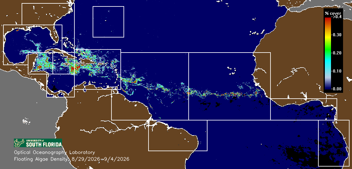 Great Atlantic Sargassum Belt density composite — 2 weeks ago
