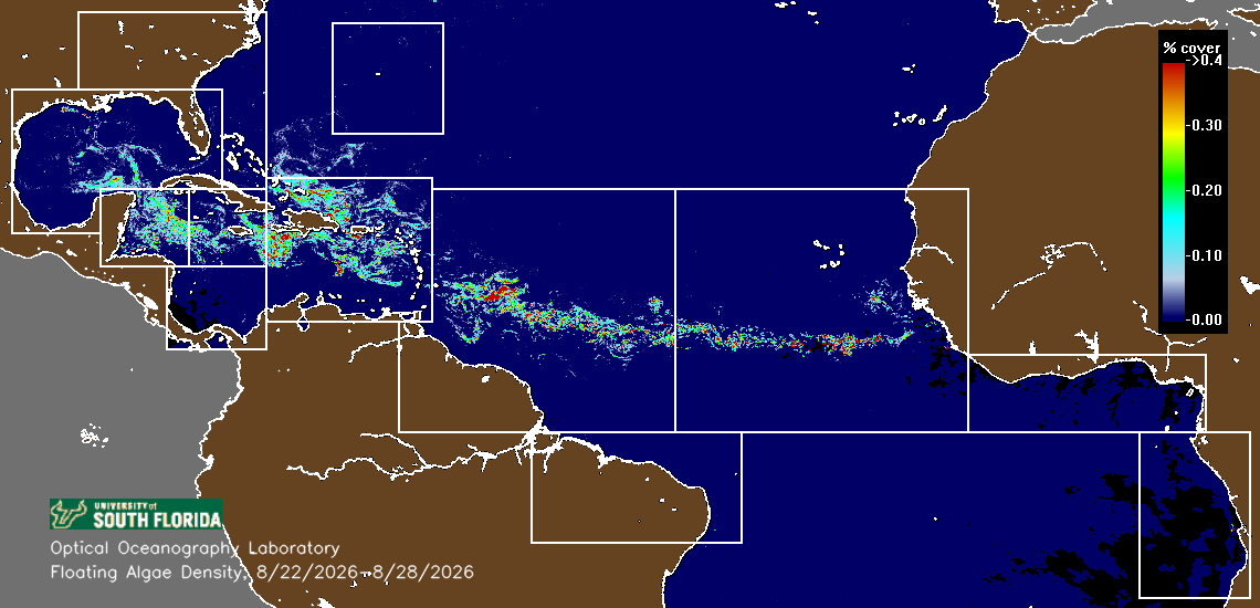 Great Atlantic Sargassum Belt density composite — 3 weeks ago